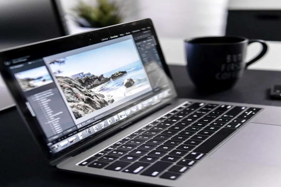 Quick Tips to Easily Remove the Background from Images